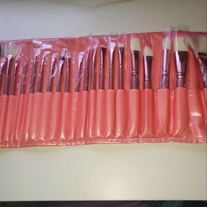 22 PC Pink brush set